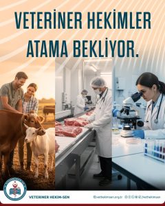Veteriner Hekimler Atama Bekliyor!